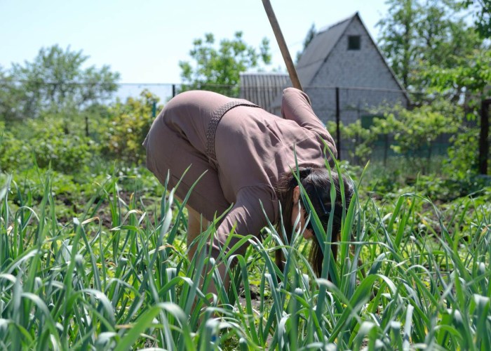 A crustacean in the garden