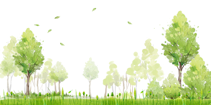 Forest on a white background