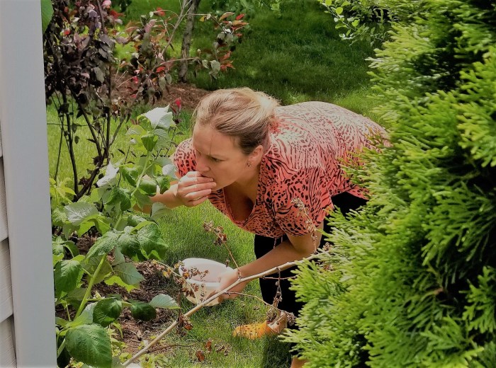 Summer residents in the country