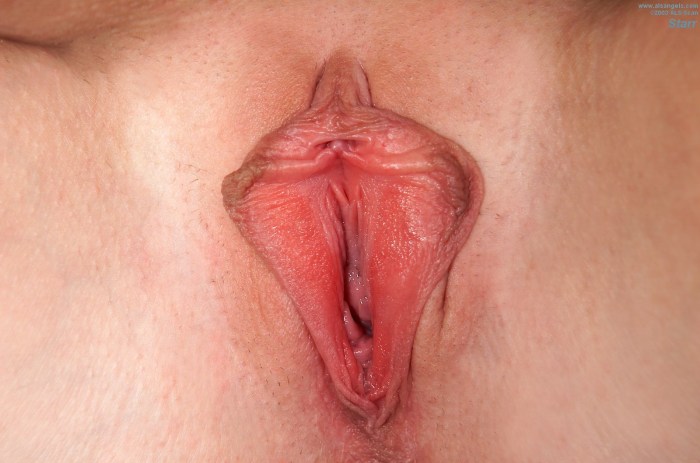 Large female genitals