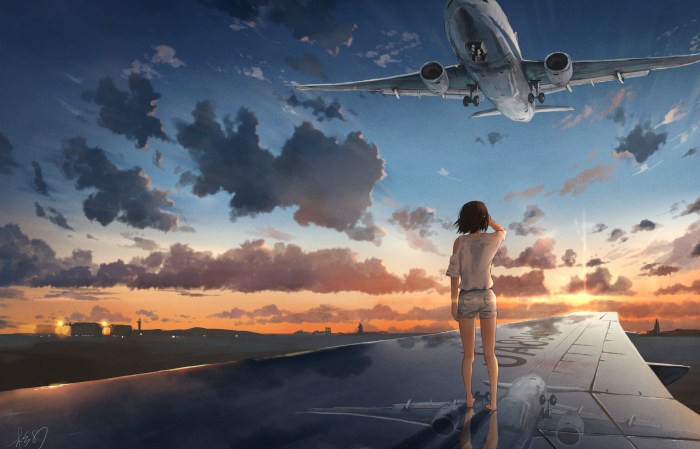 Heart with an airplane