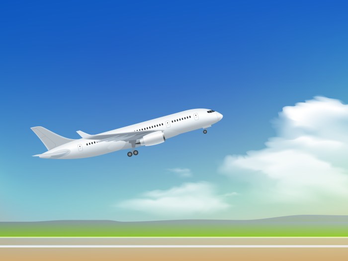 Dashed line with an airplane