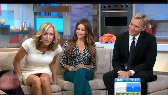 Fox TV News Uzskirt
