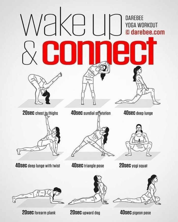 PUSH Pull Legs training program