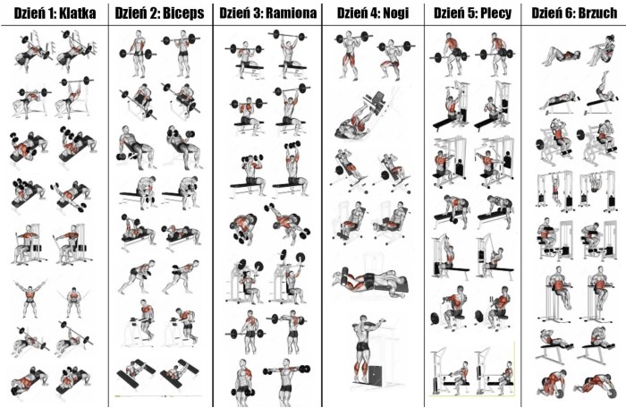 3 Day Workout