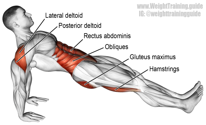 Exercises for elastic buttocks