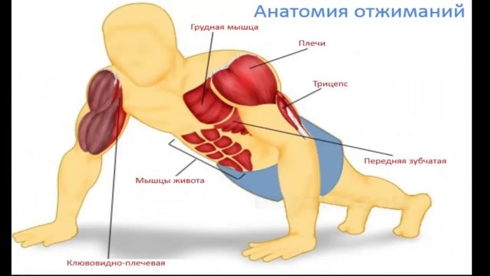 PUSH Pull Legs Split