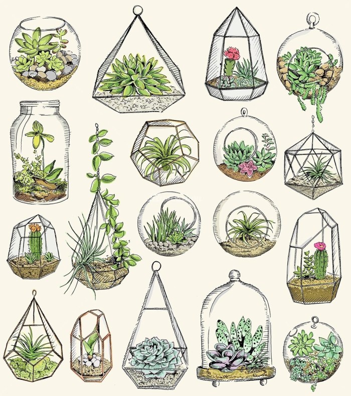 Cactus and butterflies Illustration