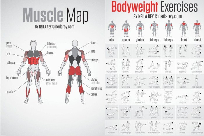 The inner side of the hip exercises for weight loss