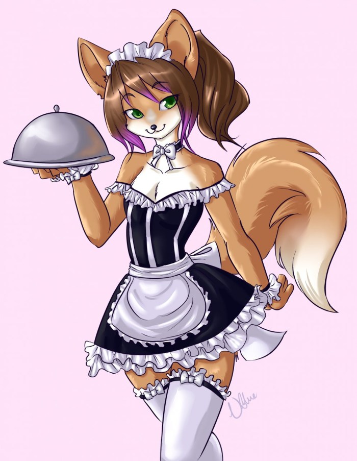 Fate Siber Maid