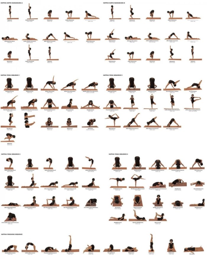 Ashtanga Vignaca Yoga Founder