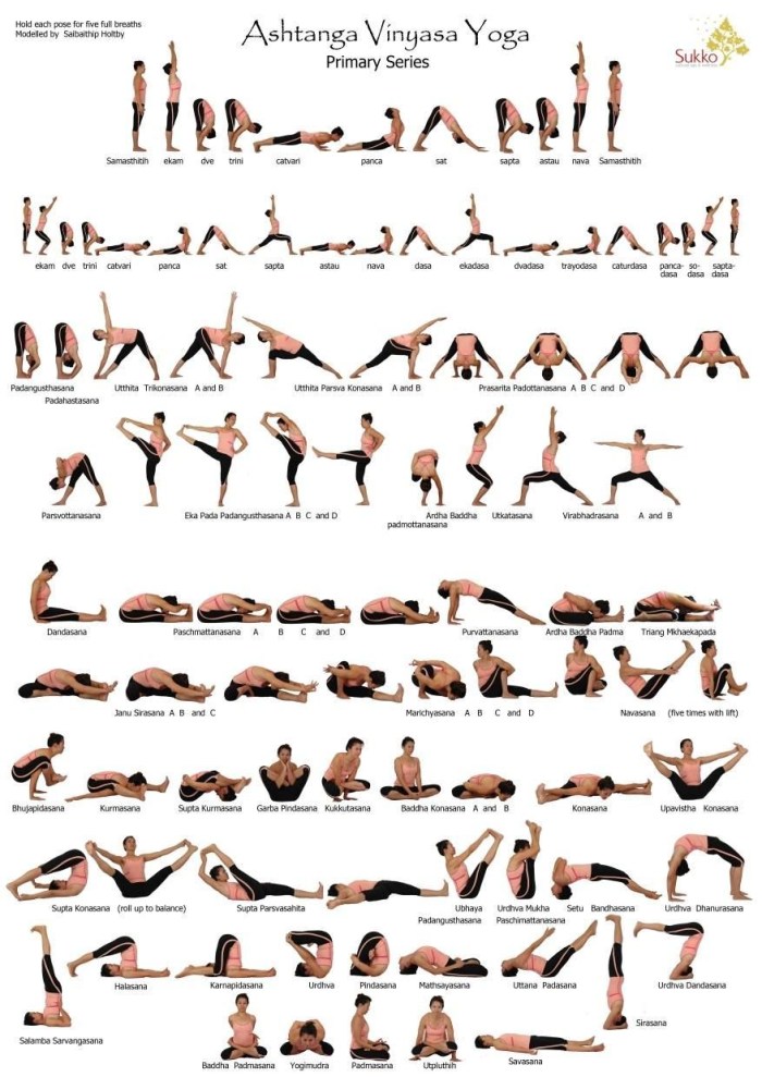 Ashtanga Vignaca Yoga Asana