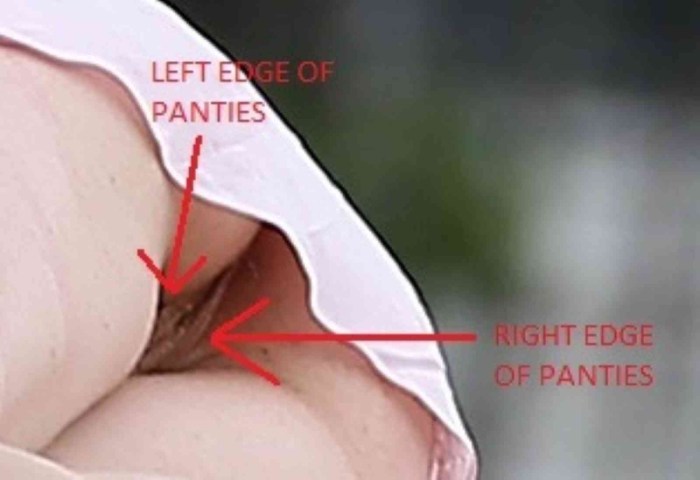 Amanda Seyfrid exposed