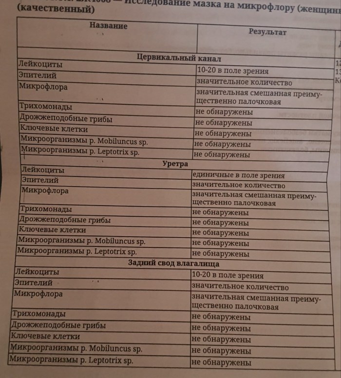 Analysis on the flora