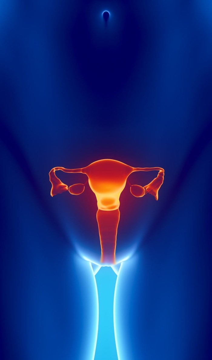 Non -standard vagina