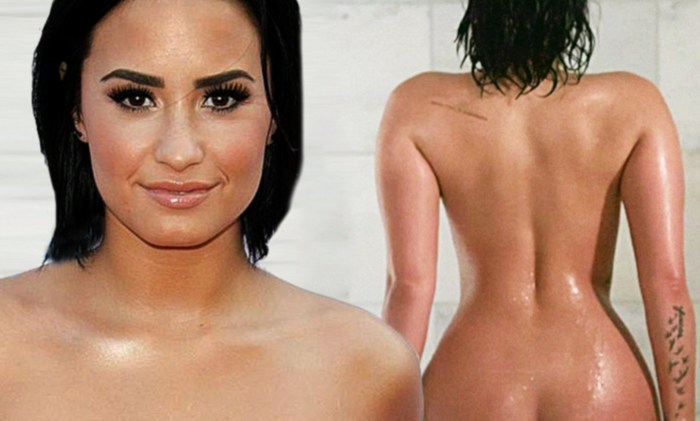 Demi Lovato Naked Fake