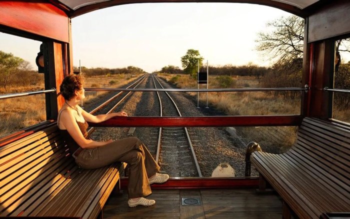 Humanization of Drofa trains