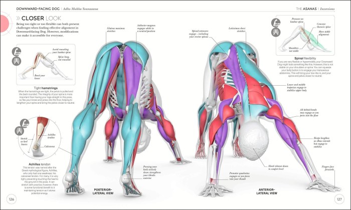 Ann Svenson Anatomy and Yoga Physiology