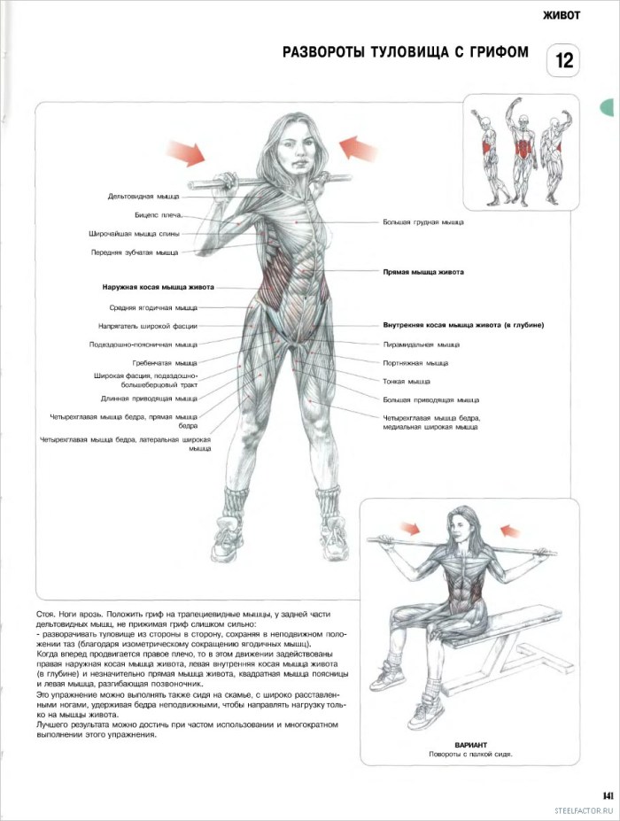Lordotic Posture