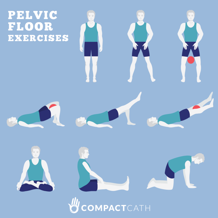 Small pelvis in women anatomy