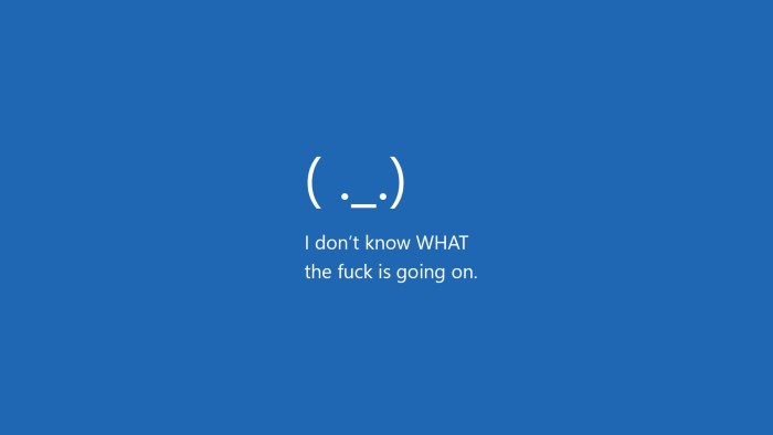 Windows 11 death screen
