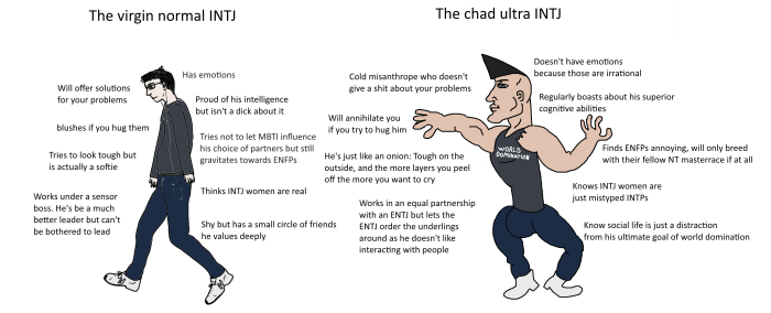 Intj Dual