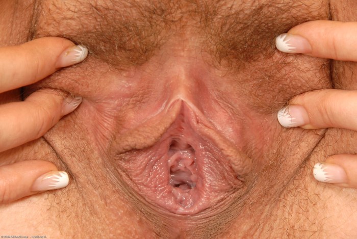 The vagina of elderly women
