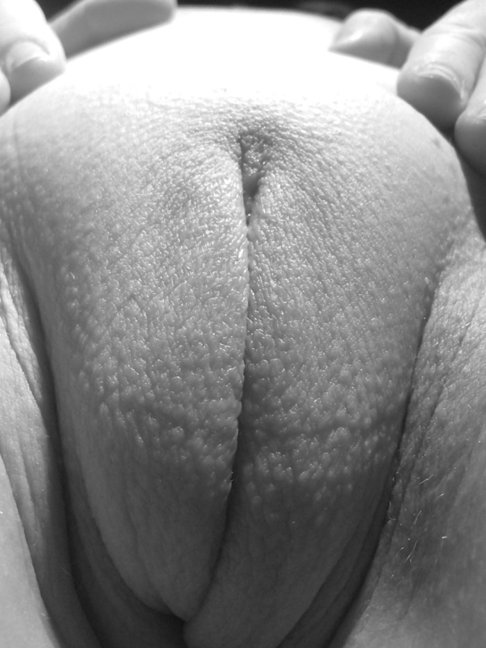 BBW CAMELLY CLOSE PROP