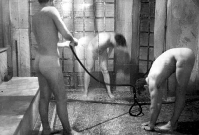 A lot of naked hairy women