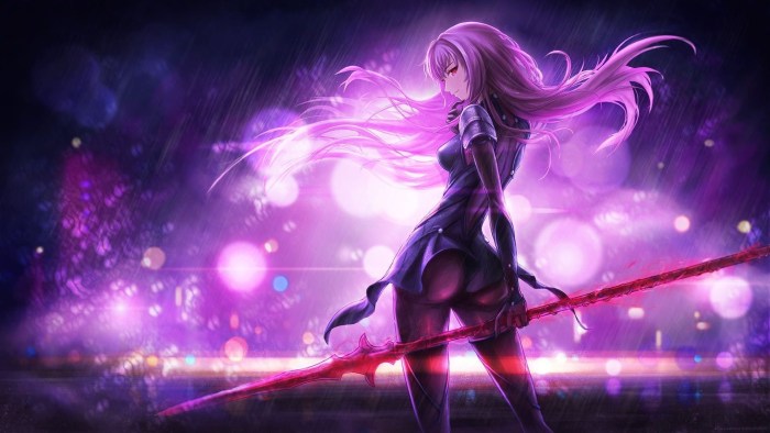 Fate anime