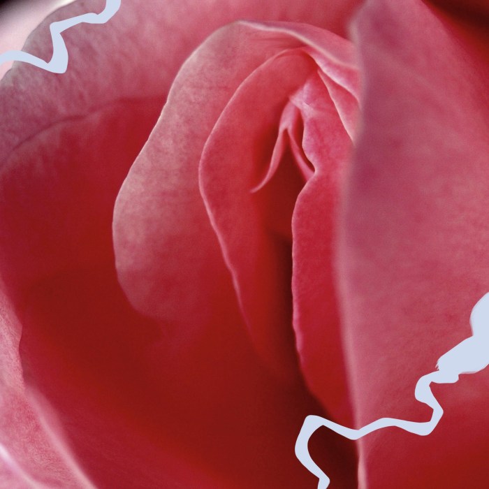 Varieties of vagina