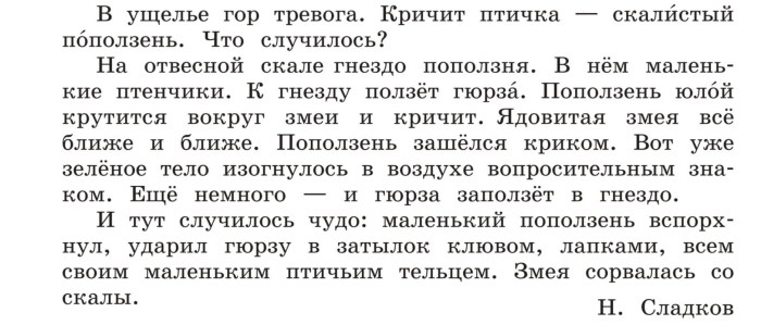 Presentation 4th grade in the Russian language UPR 180 p. 101 Plan