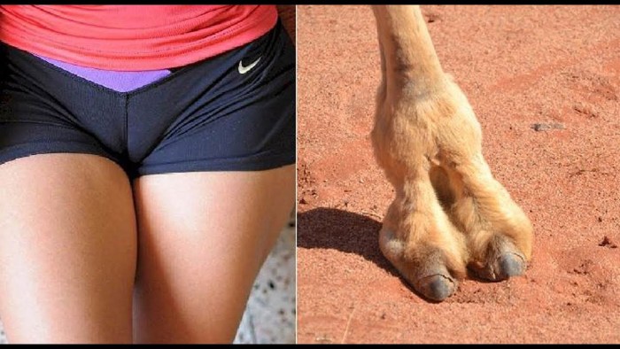 Jessica Alba camel hooves