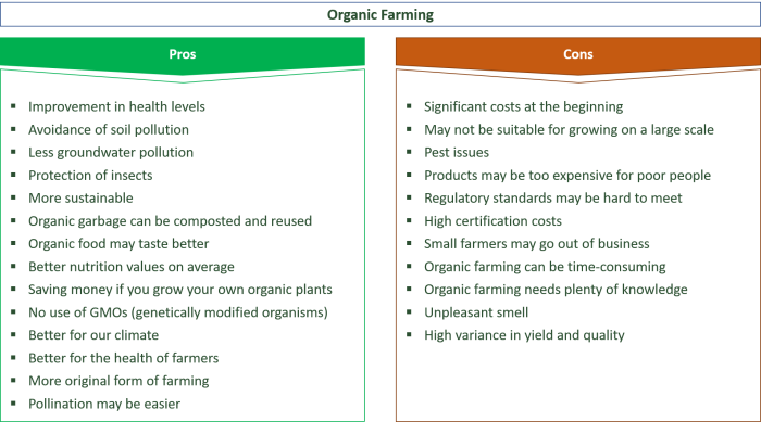 Pros and Cons of BioFuels