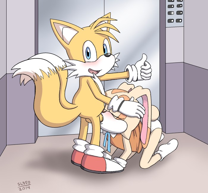 Talez Miles Prower Hentai R63 Sonic