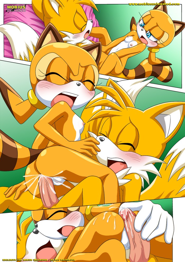 Rule 63 - Nobody147 Rule 63 Sonic Team Sonic the Hedgehog Tails