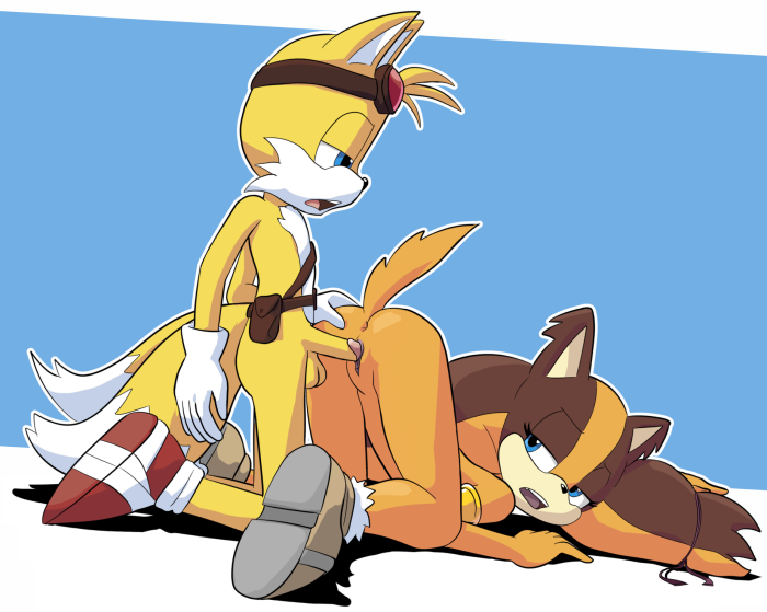 Miles Tails Prower Mobius Unleashed Palcomix