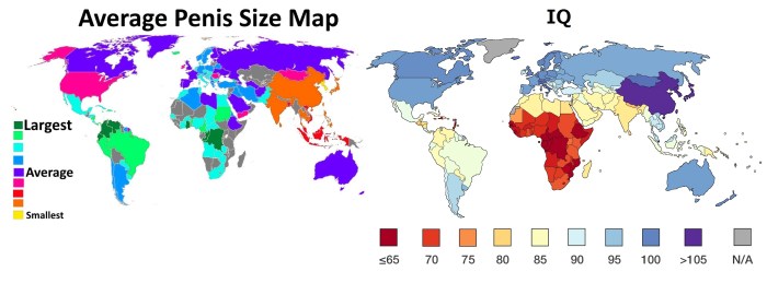 Average Penis Size