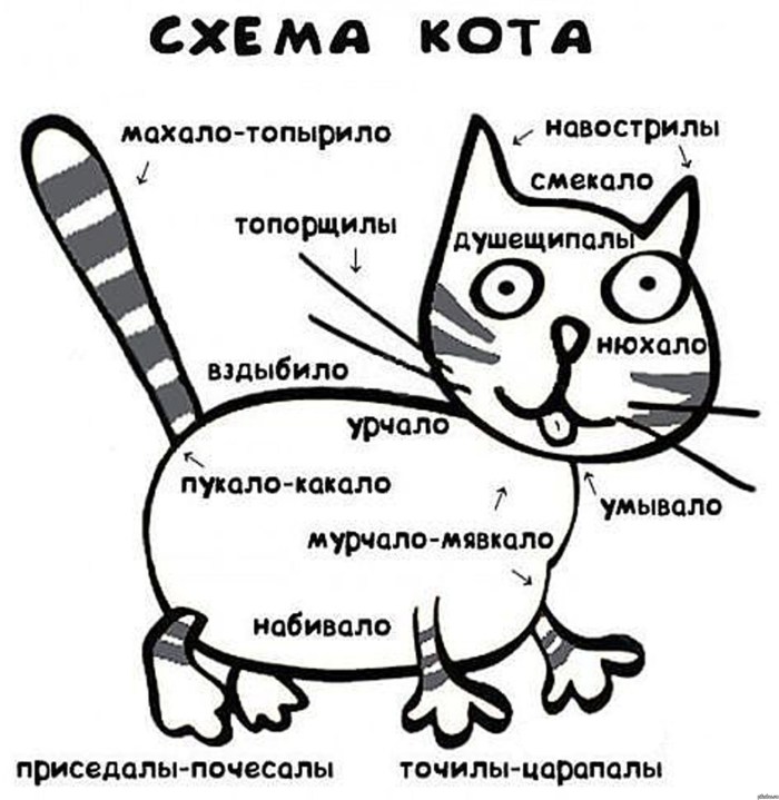 Katya Kishchuk 2020 Figure