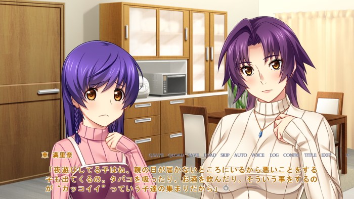 NETORASE NOVELS