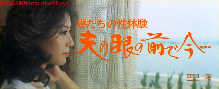 Wife's Sexual Fantasy Before Husband's Eyes (1980)