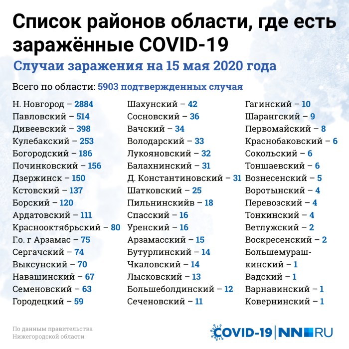 Coronavirus Statistics in the districts of the Nizhny Novgorod region
