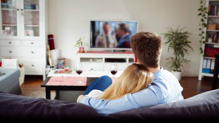 Pair on the couch in front of the TV