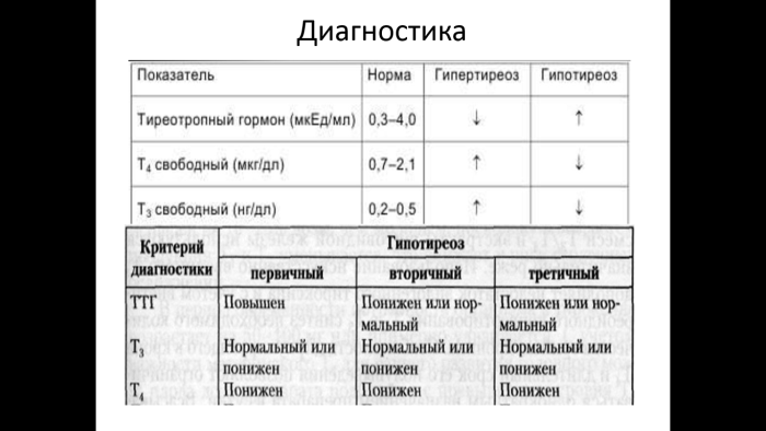 Certificate of an international teacher
