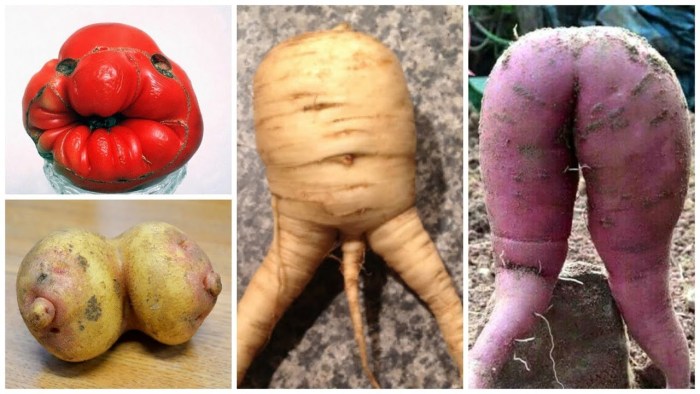 Funny vegetables