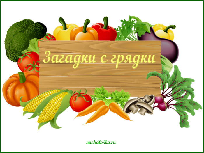 Fruits and vegetables signs for children