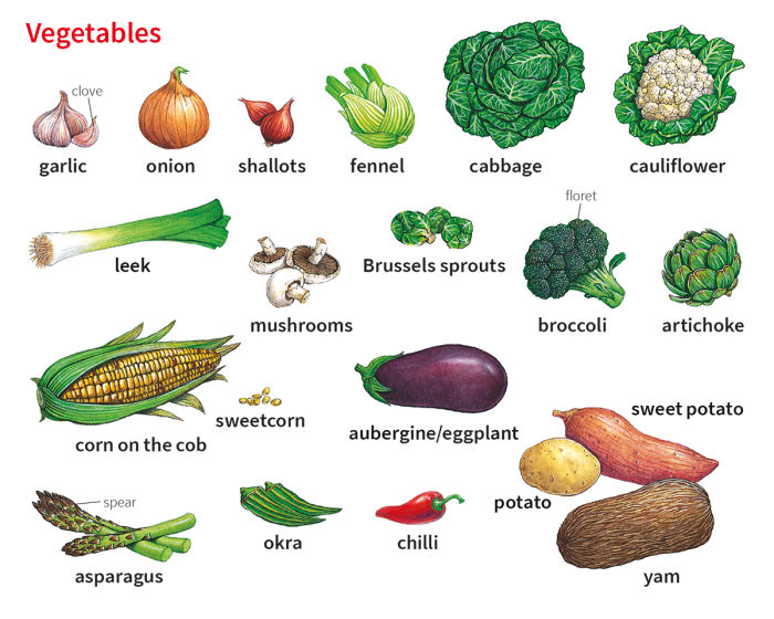 The name of all vegetables in English