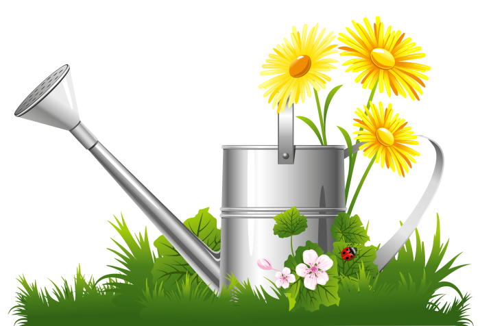Garden instruments Vector