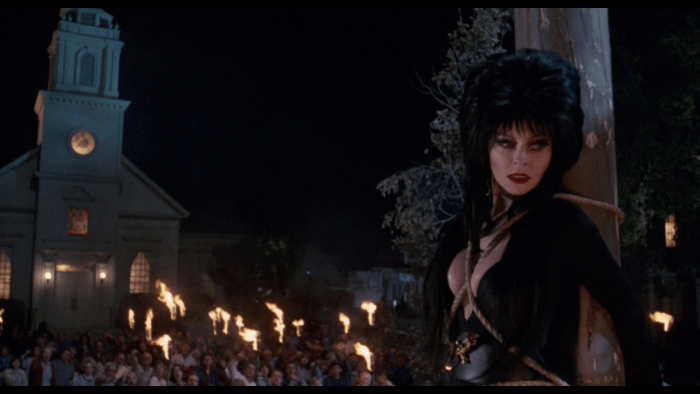 Shape of Elvira