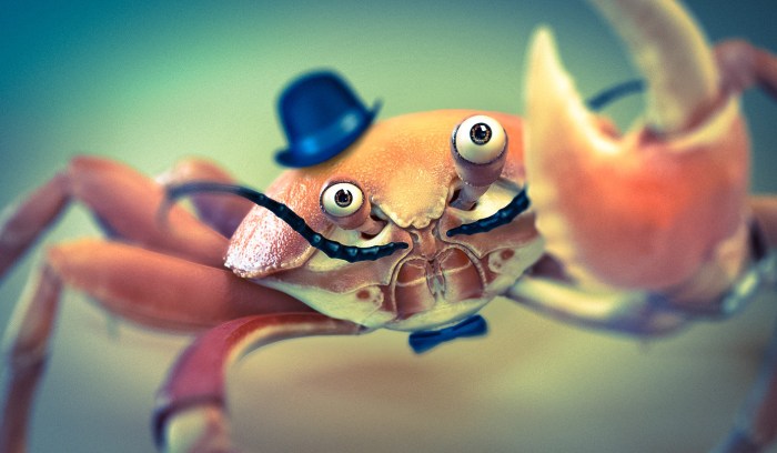 Eyeering crab
